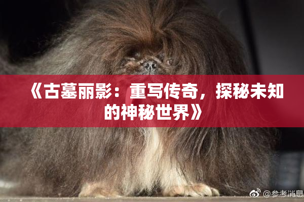 《古墓丽影：重写传奇，探秘未知的神秘世界》