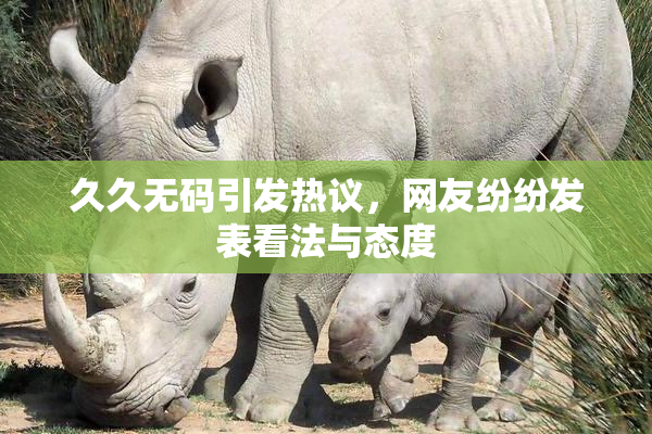 久久无码引发热议，网友纷纷发表看法与态度
