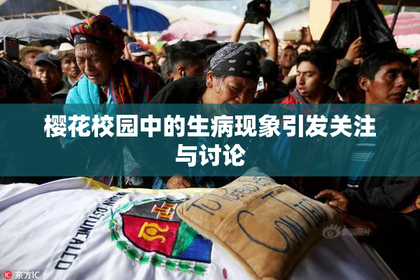 樱花校园中的生病现象引发关注与讨论