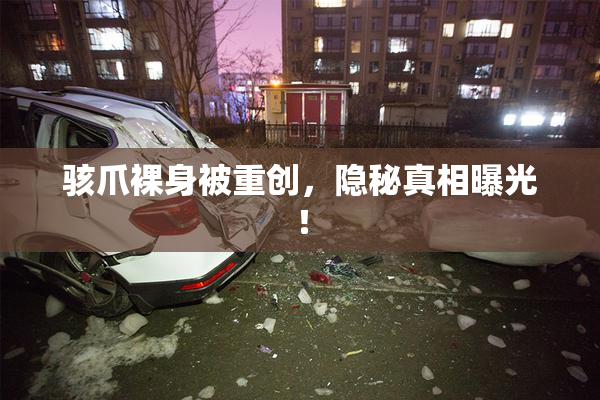 骇爪裸身被重创，隐秘真相曝光！