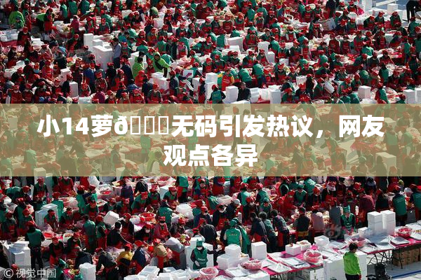 小14萝🔞无码引发热议，网友观点各异