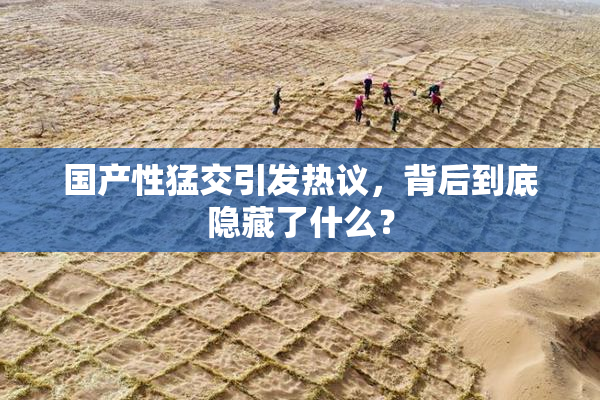 国产性猛交引发热议，背后到底隐藏了什么？
