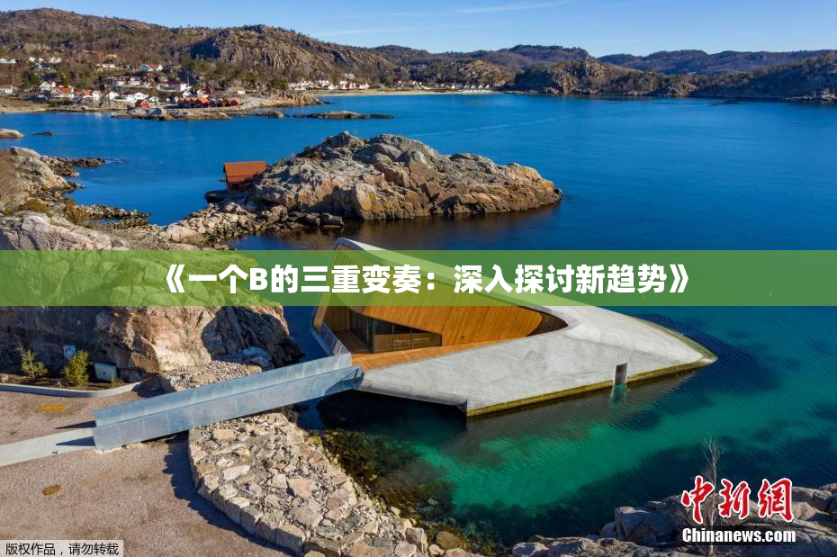 《一个B的三重变奏：深入探讨新趋势》