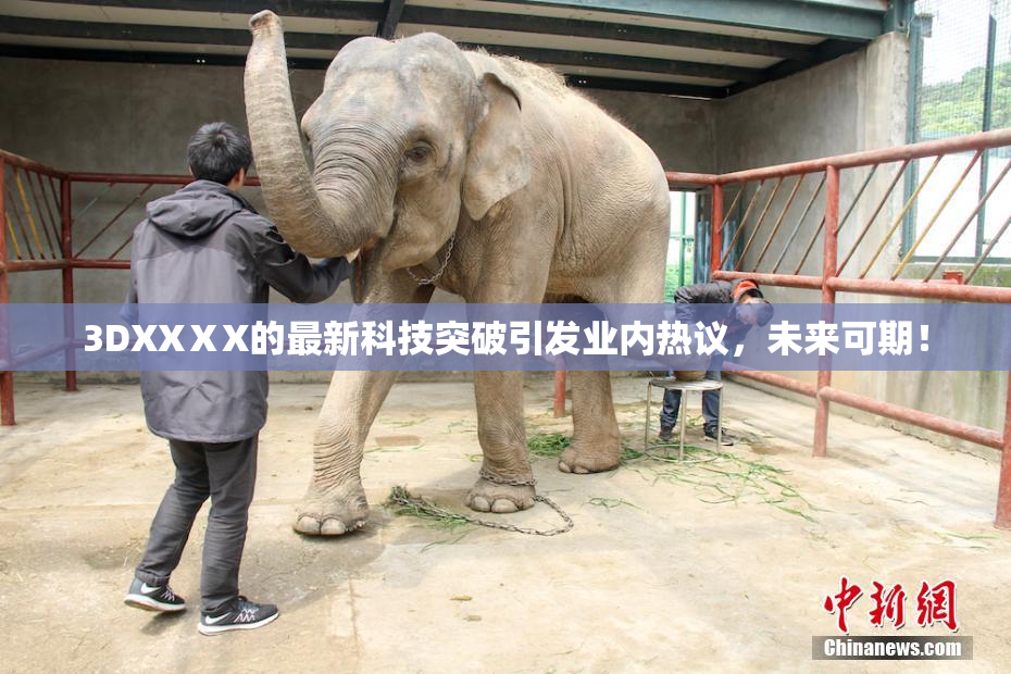3DXXⅩX的最新科技突破引发业内热议，未来可期！