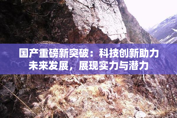 国产重磅新突破：科技创新助力未来发展，展现实力与潜力