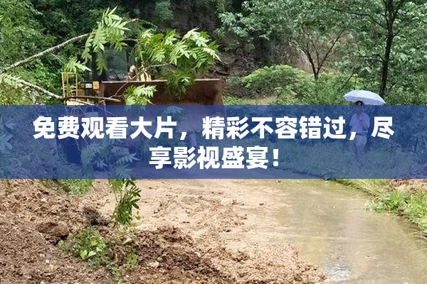 免费观看大片，精彩不容错过，尽享影视盛宴！