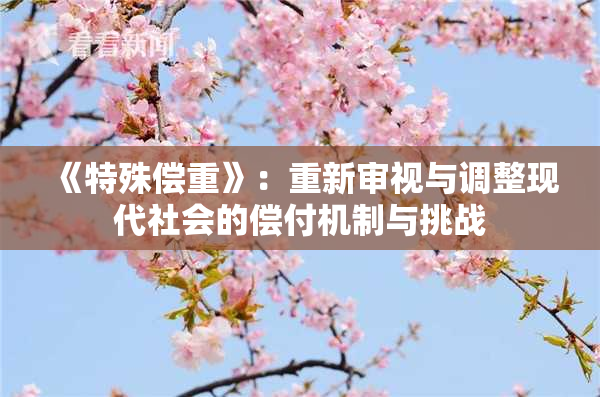 《特殊偿重》：重新审视与调整现代社会的偿付机制与挑战