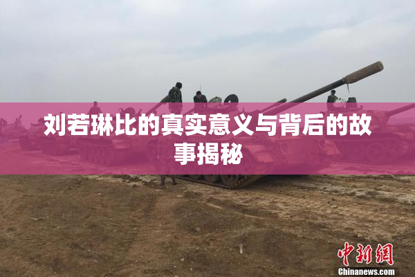 刘若琳比的真实意义与背后的故事揭秘