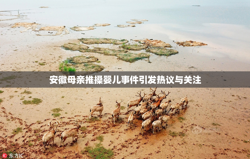 安徽母亲推搡婴儿事件引发热议与关注