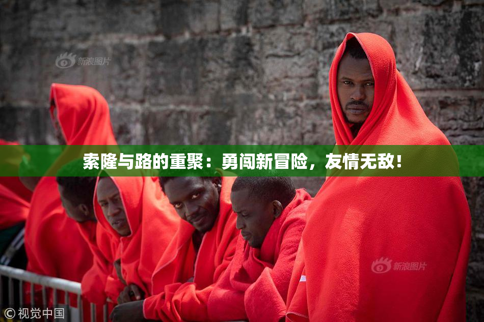 索隆与路的重聚：勇闯新冒险，友情无敌！