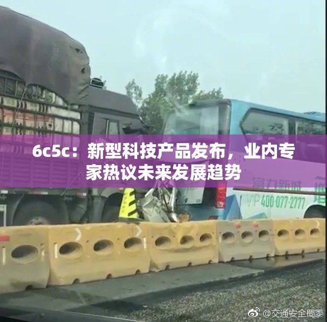 6c5c：新型科技产品发布，业内专家热议未来发展趋势