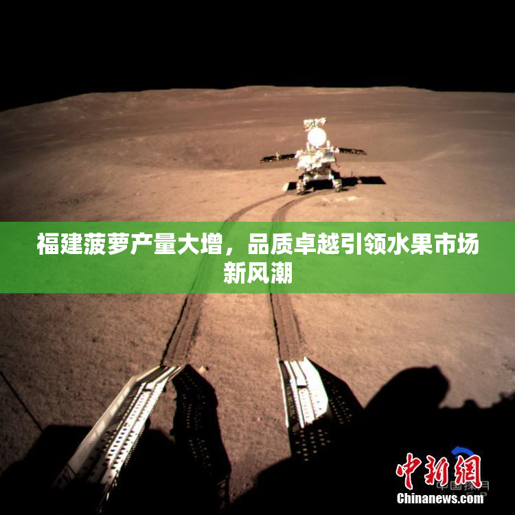 福建菠萝产量大增，品质卓越引领水果市场新风潮