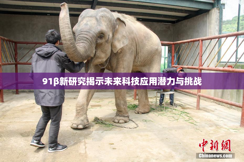 91β新研究揭示未来科技应用潜力与挑战