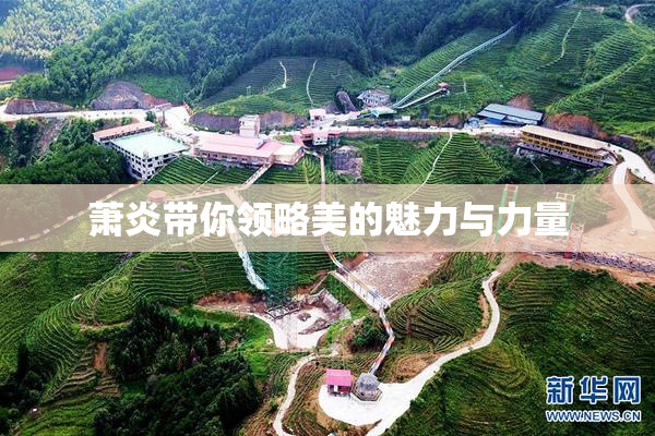萧炎带你领略美的魅力与力量