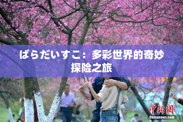 ぱらだいすこ：多彩世界的奇妙探险之旅