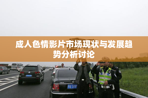 成人色情影片市场现状与发展趋势分析讨论