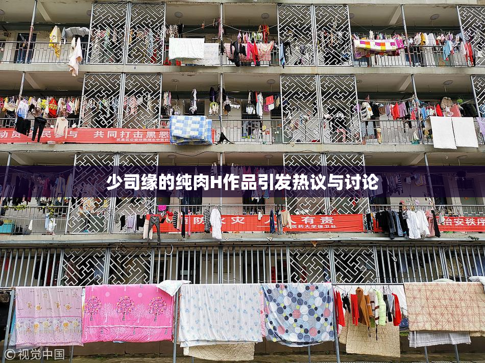 少司缘的纯肉H作品引发热议与讨论