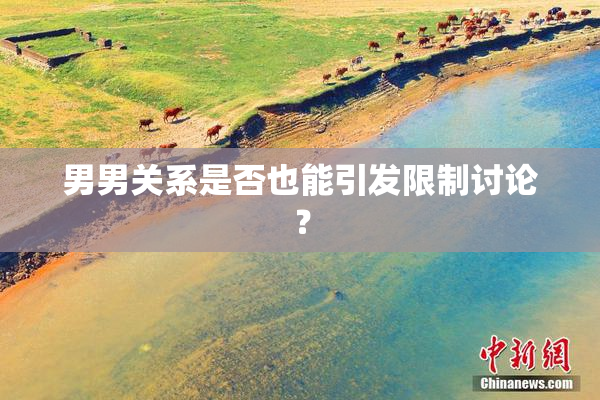 男男关系是否也能引发限制讨论？