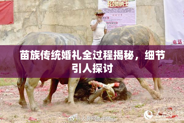 苗族传统婚礼全过程揭秘，细节引人探讨