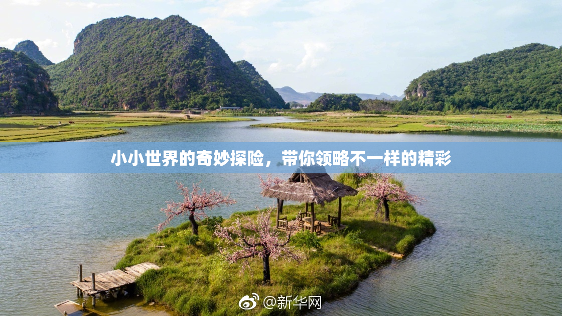 小小世界的奇妙探险，带你领略不一样的精彩