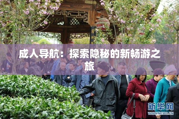 成人导航：探索隐秘的新畅游之旅