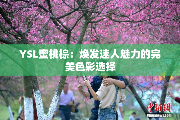 YSL蜜桃棕：焕发迷人魅力的完美色彩选择