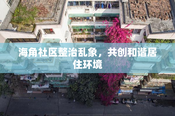 海角社区整治乱象，共创和谐居住环境