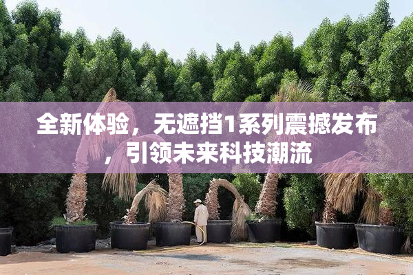全新体验，无遮挡1系列震撼发布，引领未来科技潮流