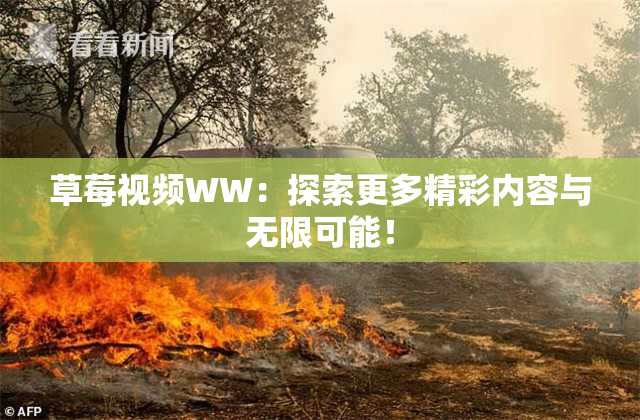 草莓视频WW：探索更多精彩内容与无限可能！