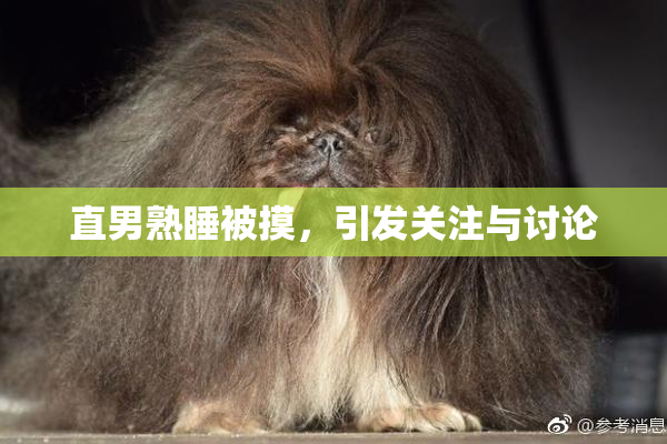 直男熟睡被摸，引发关注与讨论