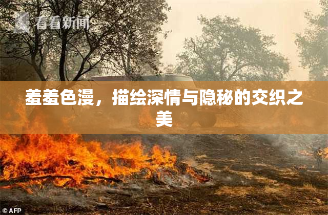 羞羞色漫，描绘深情与隐秘的交织之美