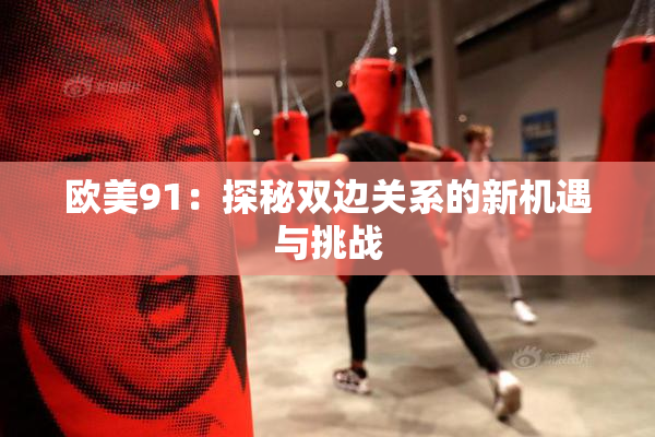 欧美91：探秘双边关系的新机遇与挑战