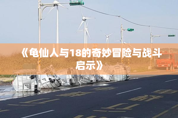 《龟仙人与18的奇妙冒险与战斗启示》
