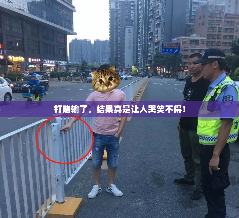 打赌输了，结果真是让人哭笑不得！