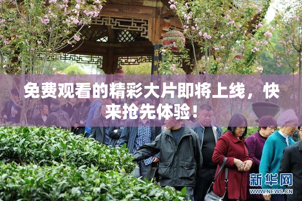 免费观看的精彩大片即将上线，快来抢先体验！