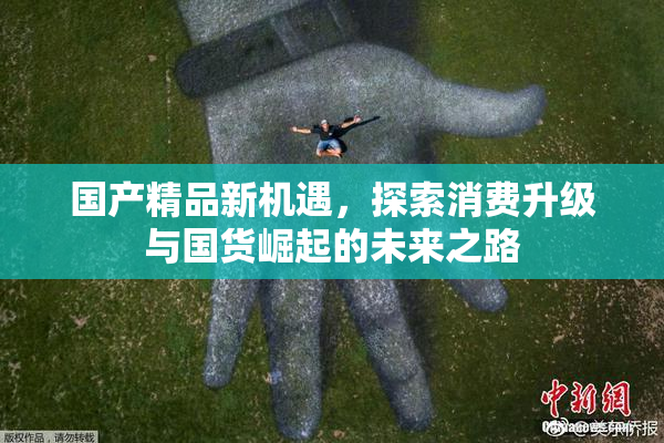 国产精品新机遇，探索消费升级与国货崛起的未来之路