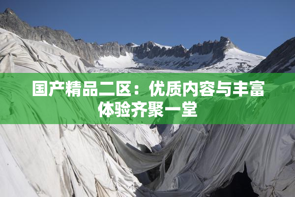 国产精品二区：优质内容与丰富体验齐聚一堂