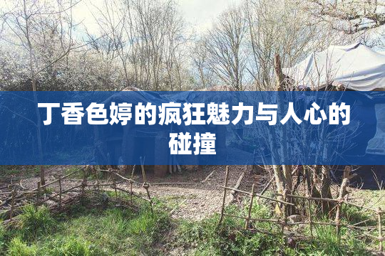丁香色婷的疯狂魅力与人心的碰撞