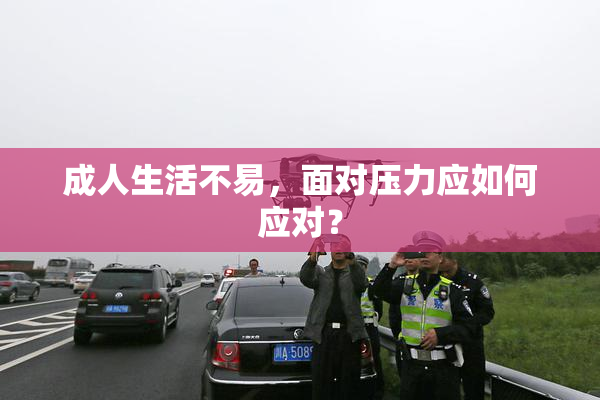 成人生活不易，面对压力应如何应对？