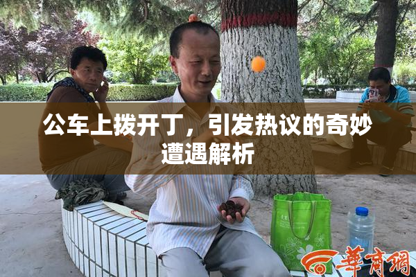 公车上拨开丁，引发热议的奇妙遭遇解析