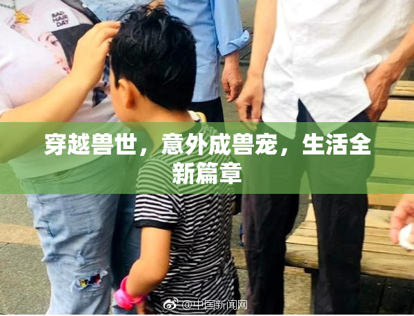 穿越兽世，意外成兽宠，生活全新篇章
