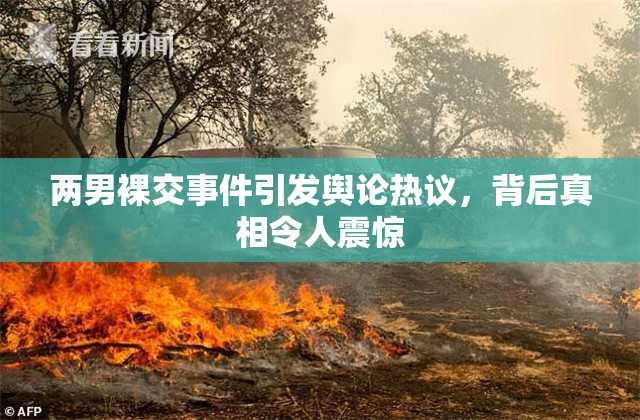 两男裸交事件引发舆论热议，背后真相令人震惊