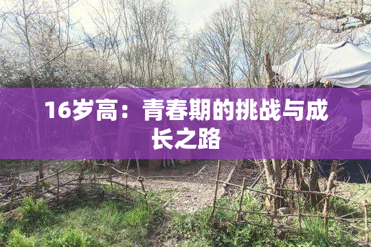 16岁高：青春期的挑战与成长之路