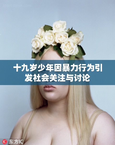 十九岁少年因暴力行为引发社会关注与讨论