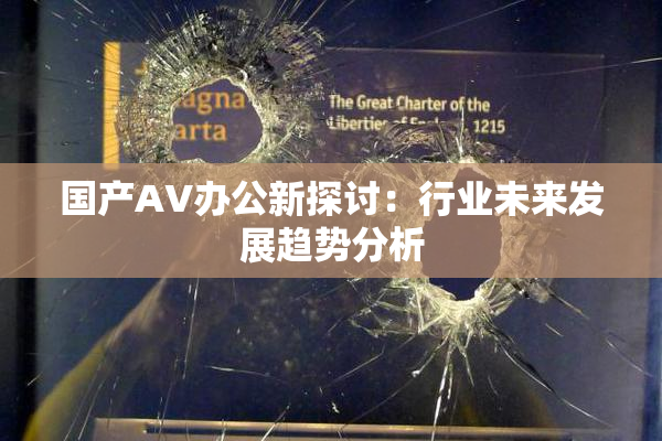 国产AV办公新探讨：行业未来发展趋势分析