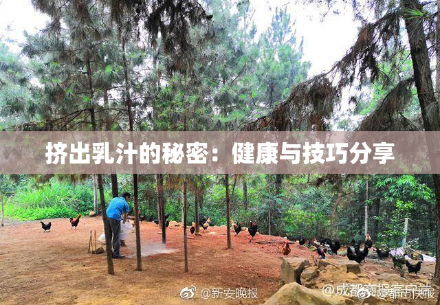 挤出乳汁的秘密：健康与技巧分享