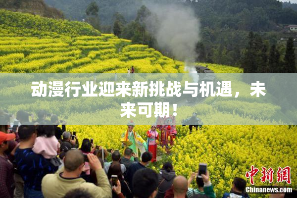 动漫行业迎来新挑战与机遇，未来可期！