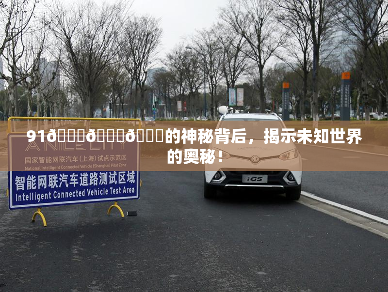 91🍆🍑🔞的神秘背后，揭示未知世界的奥秘！