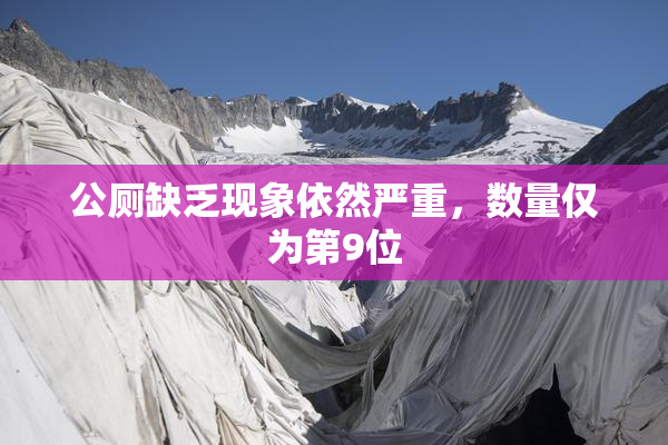 公厕缺乏现象依然严重，数量仅为第9位
