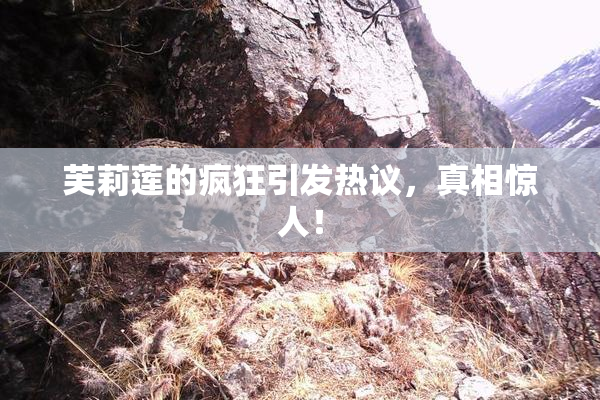 芙莉莲的疯狂引发热议，真相惊人！